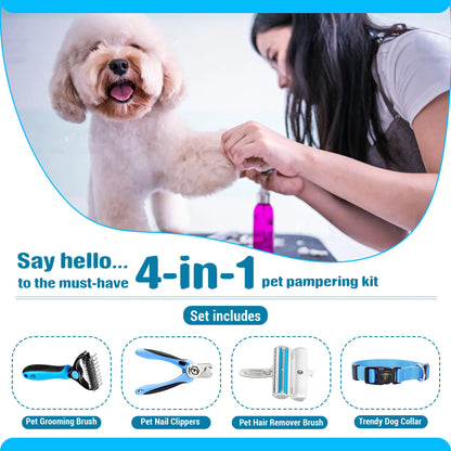 4-in-1 Pet Grooming Kit – Hair Remover Brush, Deshedding Comb, Nail Clippers & Adjustable Nylon Collar (Blue, Pink)