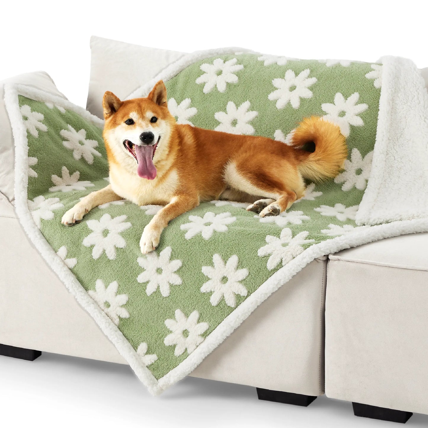 Waterproof Pet Blanket for Dogs & Cats