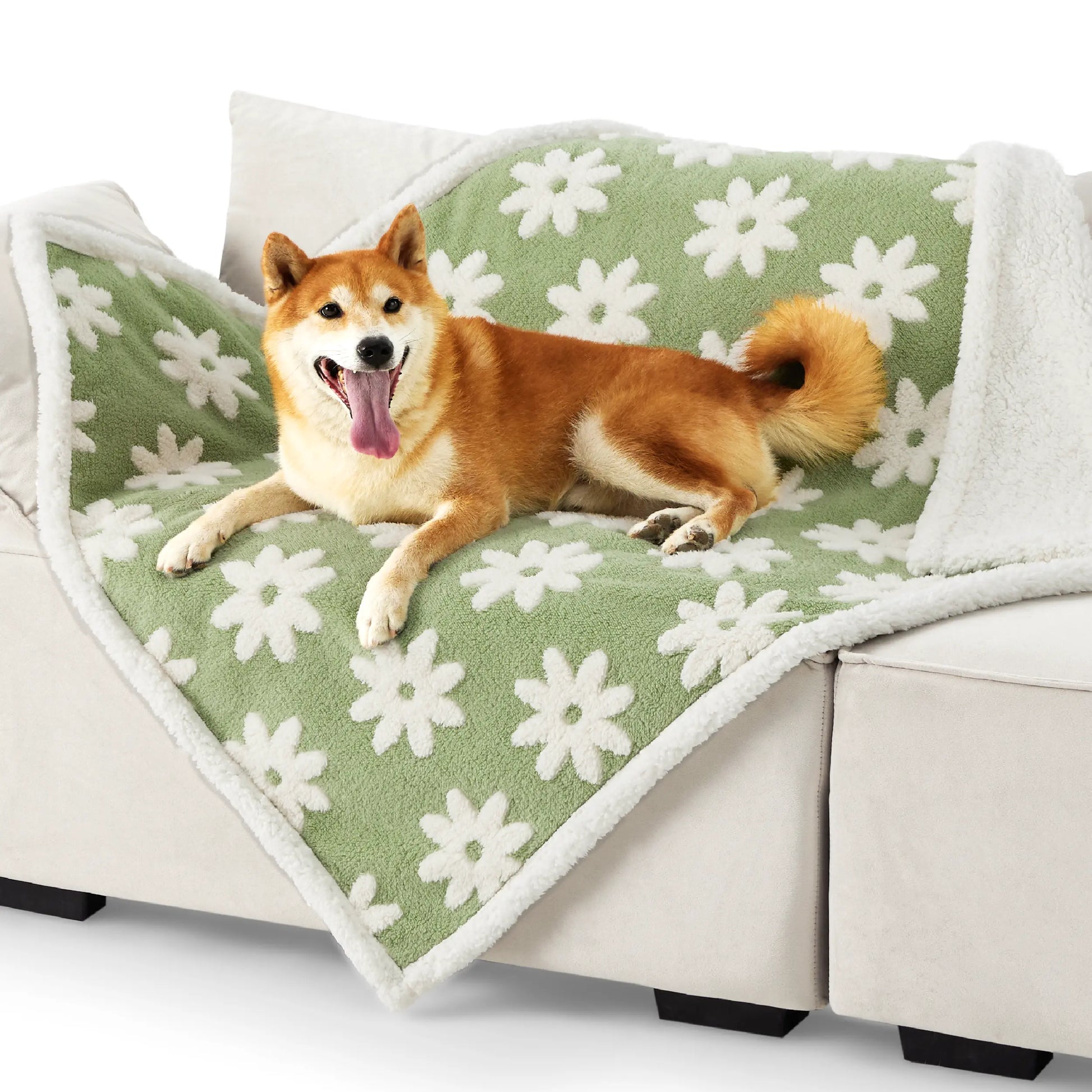 Waterproof Pet Blanket for Dogs & Cats