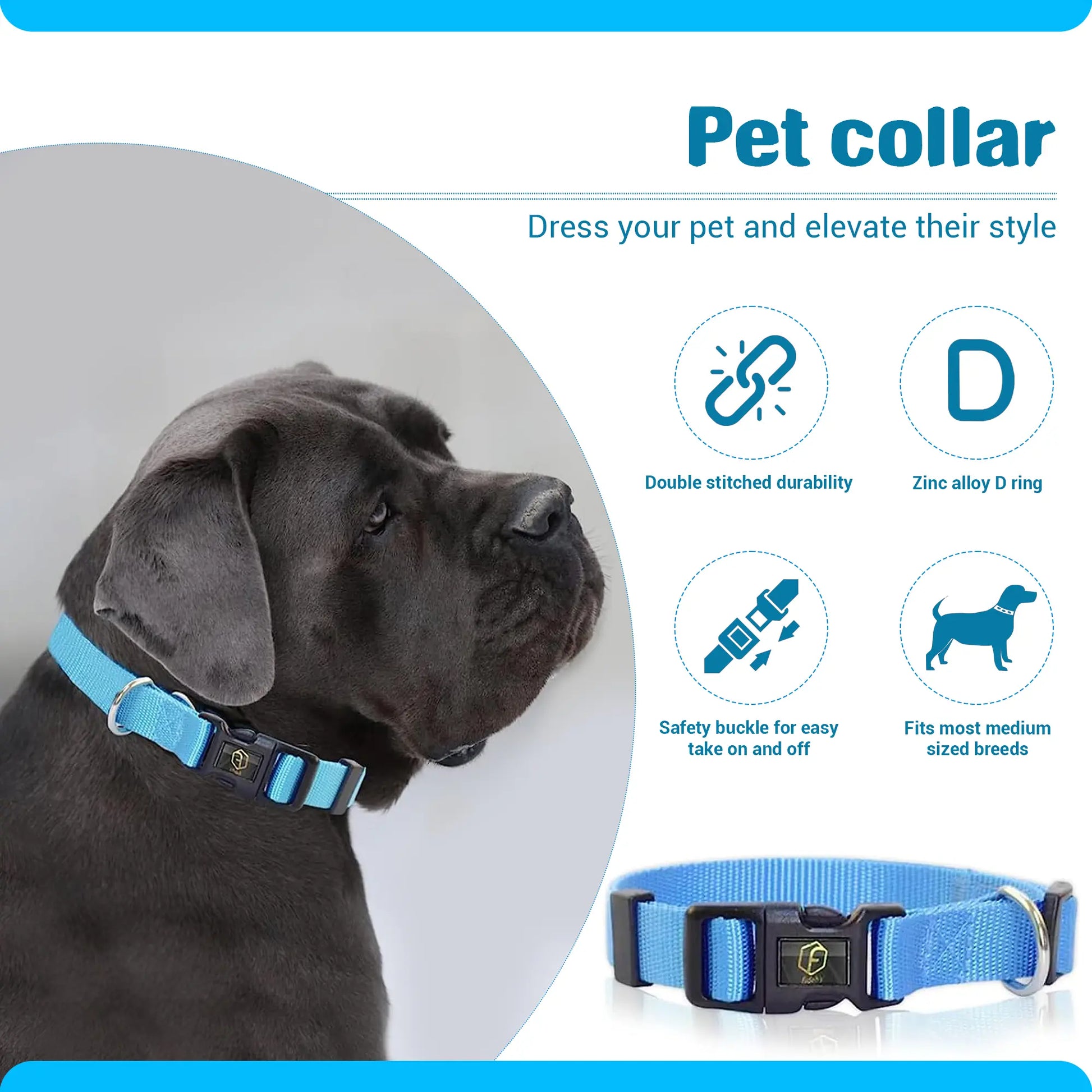 4-in-1 Pet Grooming Kit – Hair Remover Brush, Deshedding Comb, Nail Clippers & Adjustable Nylon Collar (Blue, Pink)
