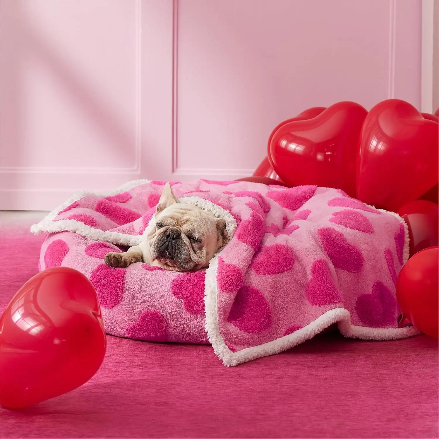 Waterproof Pet Blanket for Dogs & Cats