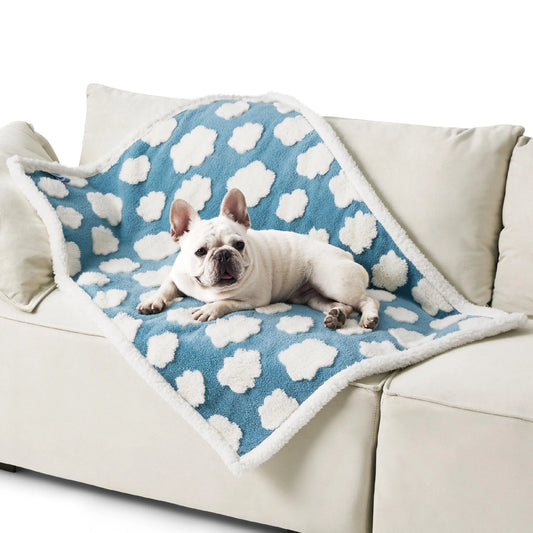 Waterproof Pet Blanket for Dogs & Cats