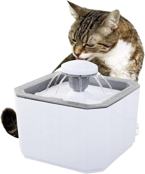 Automatic Elevated Water Drinking Fountain 2.5L Filter for Dogs and Cats Premium Pet