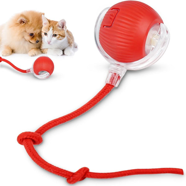 Interactive Pet Ball, Pet Ball, Interactive Toy for Cats