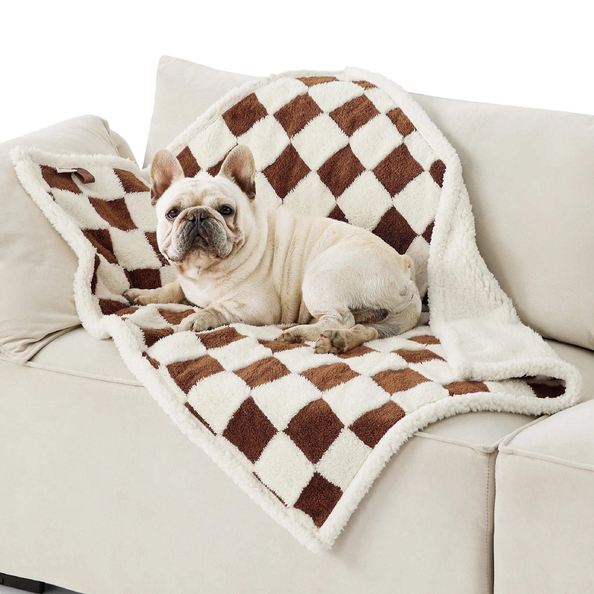 Waterproof Pet Blanket for Dogs & Cats