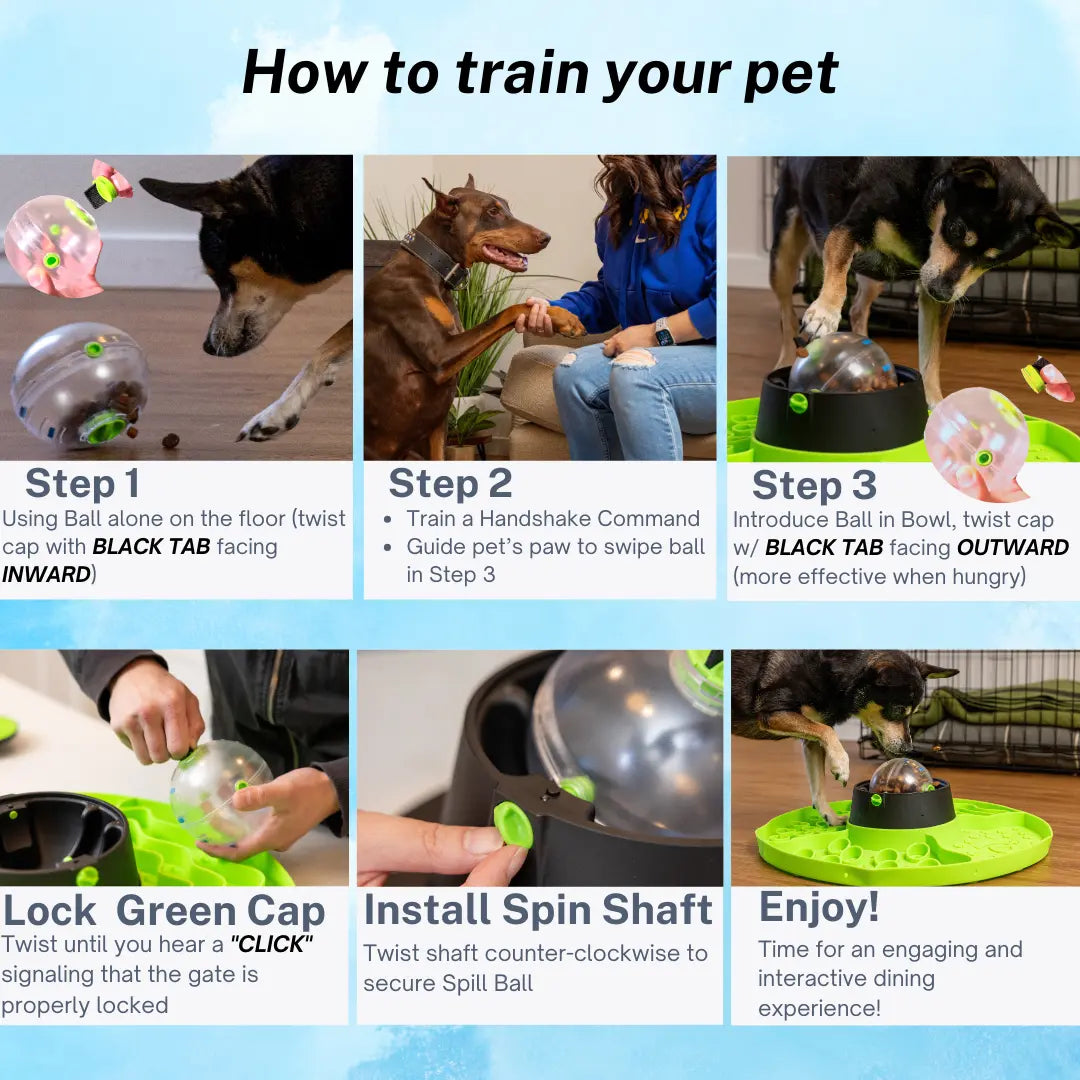 8-In-1 Multifunctional Interactive Dog Cat Slow Feeder Snuffle Mat Puzzle (Purple, Green, Blue)